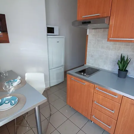 Vysehrad Apartmeet 公寓